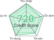 Credit Score Radar Chart
